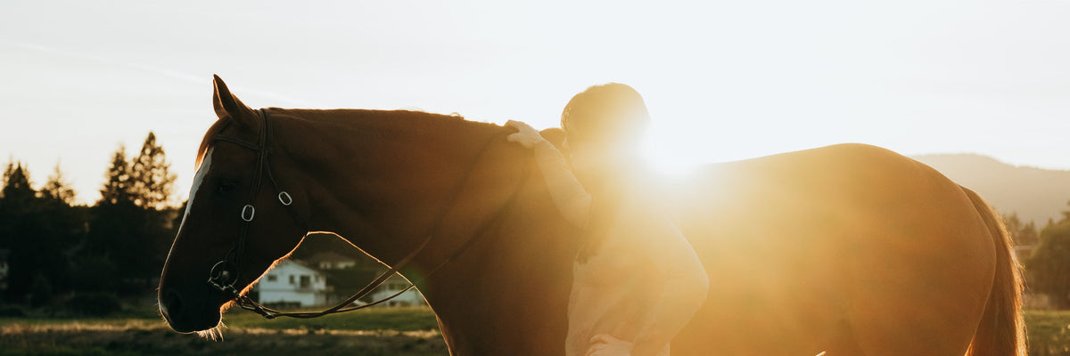 Woman with her hand on a chestnut horse in a field at sunset, backlit by the low sun.